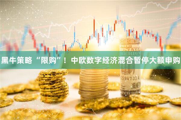 黑牛策略 “限购”！中欧数字经济混合暂停大额申购