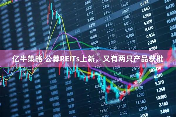亿牛策略 公募REITs上新，又有两只产品获批