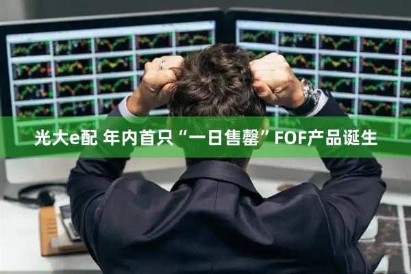 光大e配 年内首只“一日售罄”FOF产品诞生