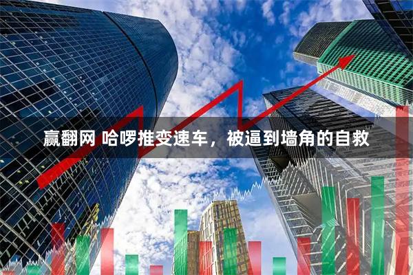 赢翻网 哈啰推变速车，被逼到墙角的自救